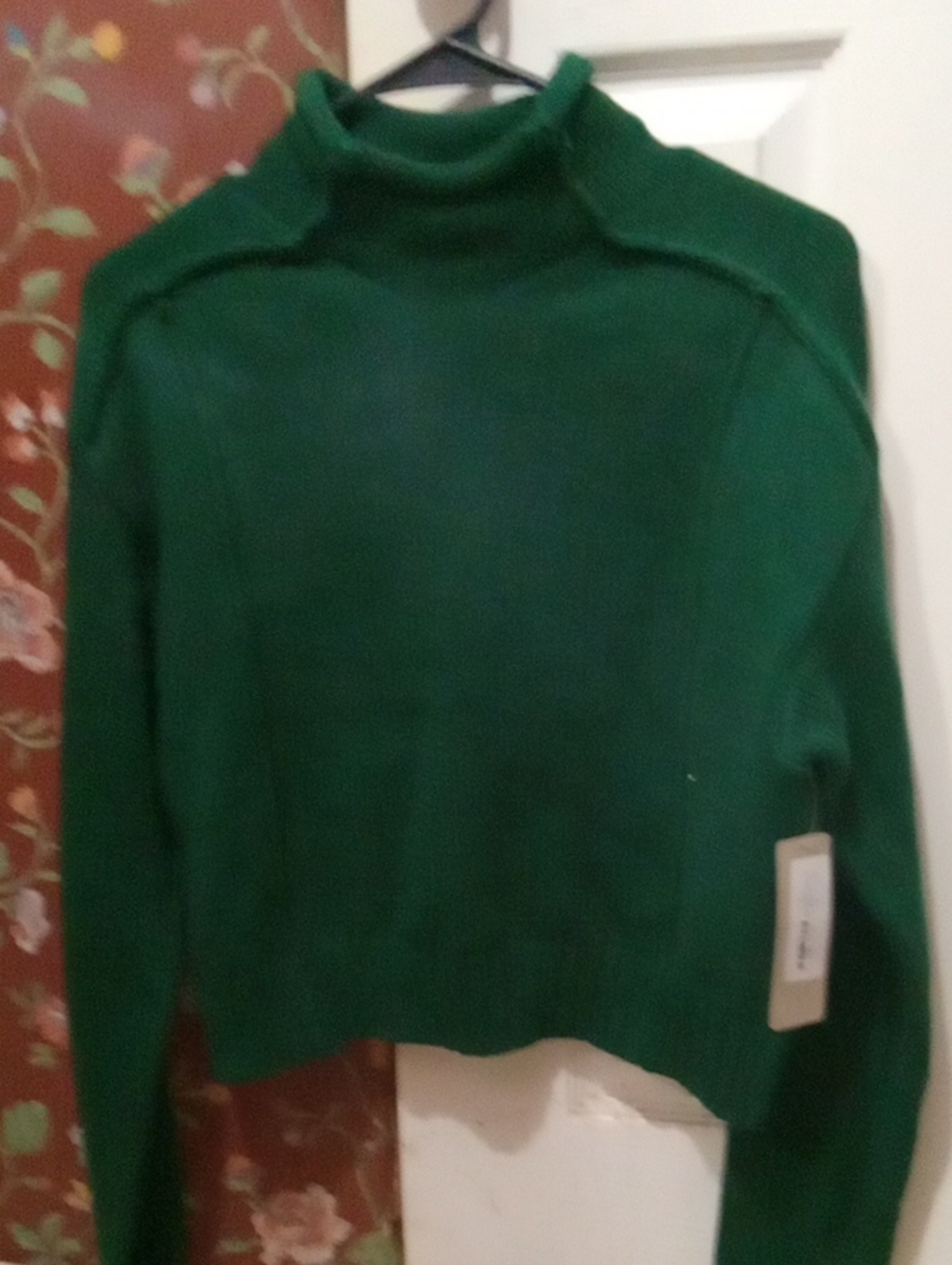 Lizard Thicket Emerald Green Turtleneck Sweater